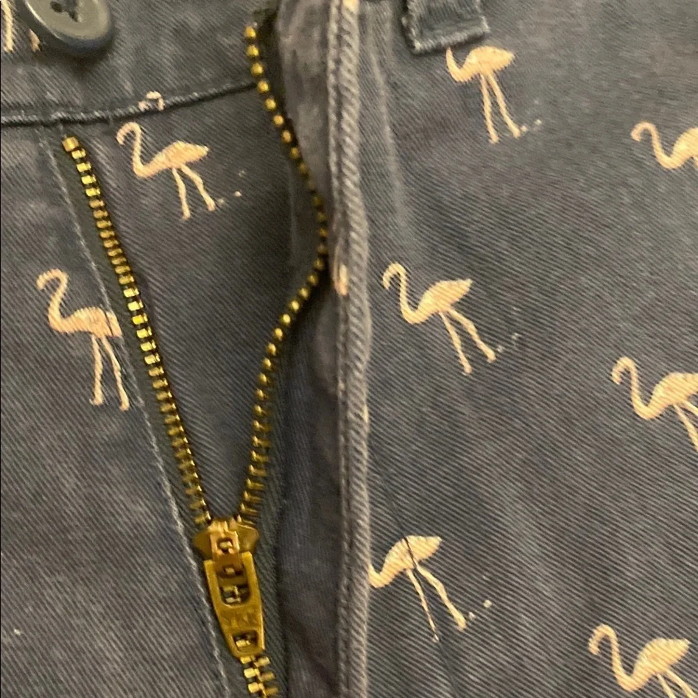 J. Crew Blue Flamingo Print Men's Shorts Size 29W